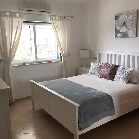 Luxury Apartment